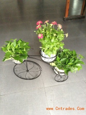 客家園藝 專業室內花木租擺，綠化植物租賃首選